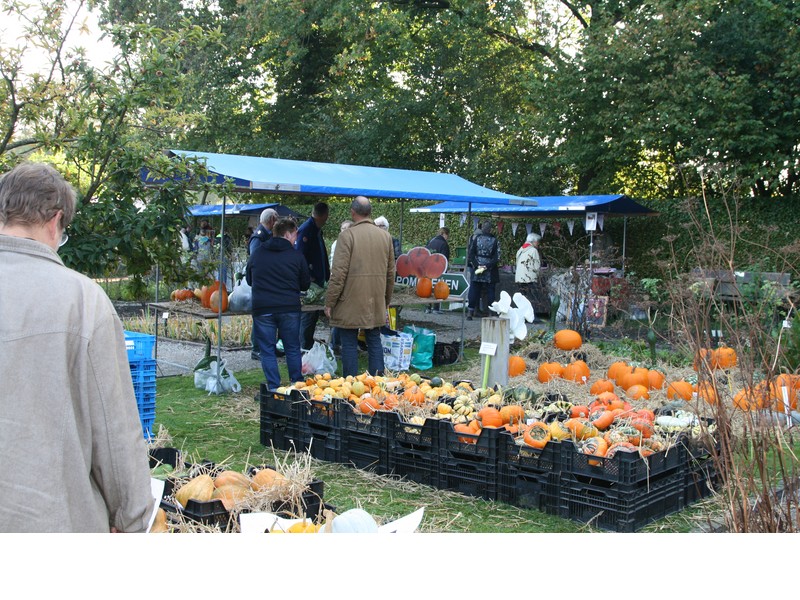 Oogstdag &amp; Fruitshow bij botanische tuin De Kruidhof De Kruidhof